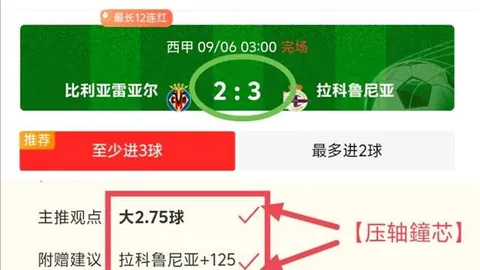 曼联引援反思会员计划：格林伍德西甲12球贡献引热议